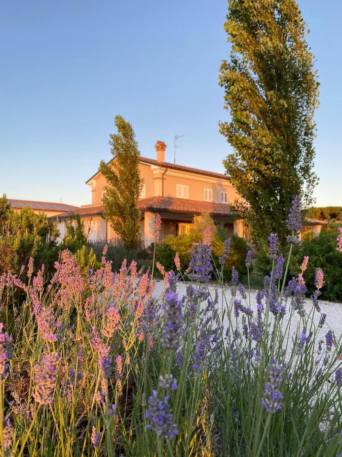 Agriturismo Tre Di Spade Savio di Ravenna Eksteriør bilde